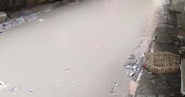أهالى قرية الحلوات مركز الإبراهيمية الشرقية يطالبون برصف الطريق 