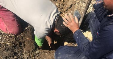 صور.. زرع 3 أعمدة إنارة سقطت أمس بشبرا شهاب فى القناطر الخيرية