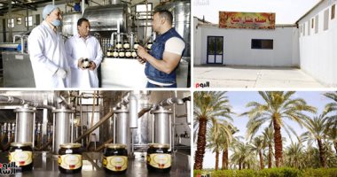 أقوى فياجرا طبيعى للغلابة.. الوادى الجديد تنفذ أكبر خط مميكن لإنتاج عسل البلح النقى بسعر 25 جنيها للكيلو.. مدير المجمع: المنتج يعالج نقص المناعة والأنيميا والضعف الجنسى بنسبة تركيز 76.4%.. صور 