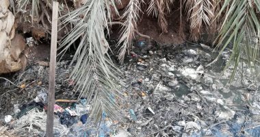 أهالى نزلة البرقى يناشدون محافظ بنى سويف تغطية مجرى مائى يمر بين المنازل