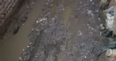 شكوى من غرق شوارع قرية أقفهص ببنى سويف بمياه الصرف الصحى والأمطار  