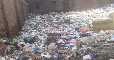شكوى من انتشار القمامة فى شارع رئيسى بحى العجيزى بطنطا