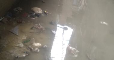 قارئة تناشد بسرعة شفط مياه الصرف الصحى بشارع عبد النبي فى بشتيل