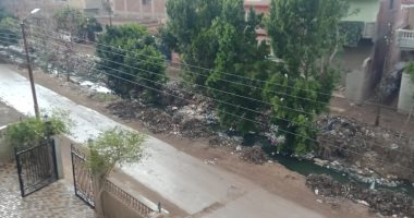 أمطار متوسطة تضرب بعض مدن القليوبية