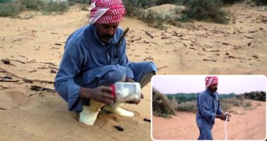 يوم مع أشهر صائد أفاعى بالوادى الجديد.. عم سعيد حمزة يصطاد الأفعى المقرنة الأخطر بالصحراء ويستخرج دهونها لعلاج الأمراض مجانا.. ويؤكد: تقتل الإنسان فى 30 ثانية وسمها حارق للأنسجة.. صور
