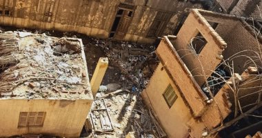 أهالى قرية فرسيس بالغربية يشكون من وجود الثعابين والخفافيش بمنزل مهجور