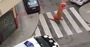 شخص يرتدى زى ديناصور لإلقاء القمامة بإسبانيا خوفا من كورونا.. فيديو