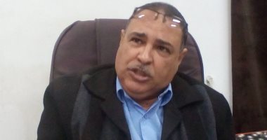"زراعة المنيا": محاصيل المحافظة الشتوية بحالة جيدة ولم تتأثر بالأحوال الجوية