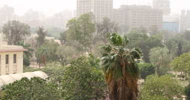 الأرصاد: طقس معتدل اليوم على القاهرة والوجه البحرى والعظمى بالعاصمة 30 