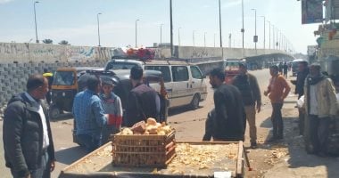 صور.. حملات مكثفة على التجمعات بأسواق العامرية و حى جمرك الإسكندرية