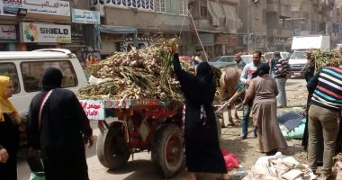 محاضر مخالفات لمحلات ومطاعم فى حملة مكبرة بالمحلة..و 4 لمقاهى بالمنيا 