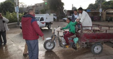 صور.. مجلس مدينة أرمنت ينجح فى إزالة وإلغاء "سوق الإثنين" الأسبوعى غرب الأقصر