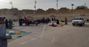 صور.. تحرير 6 محاضر مخالفة وفض سوق الاثنين بقرية بالمنيا
