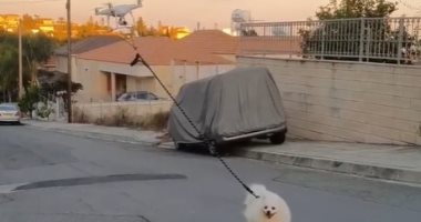 كورونا ممنعهوش يفسحه.. رجل ينزه كلبه بطريقة طريفة دون الخروج من منزله.. فيديو