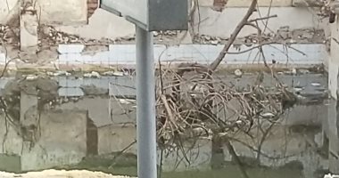 قارئ يشكو من تحول منزل مهدم الى بركة مياه ملوثة ومصدر للباعوض بالدقى