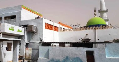 تعرف على مبادرة تجميل البيوت النوبية بأسوان.. صور