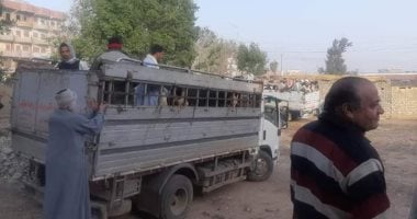صور.. فض سوق الثلاثاء أكبر أسواق المواشى فى الشرقية