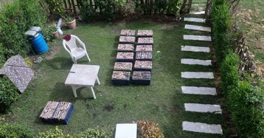 الطب البيطرى يفحص الثعابين المضبوطة داخل شقة الصينيين بالقاهرة الجديدة