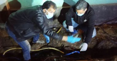 الكهرباء تتلقى 5555 بلاغا على رقم 121 فى أول أيام حظر التجوال.. صور