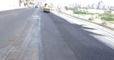 صور.. أحياء الإسكندرية تواصل تنفيذ خطط الرصف للعام المالى الحالى