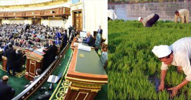 "زراعة البرلمان" تدعم الاستثمار الزراعى والفلاح فى مواجهة كورونا.. رئيس اللجنة:  الزراعة بند رئيسى فى مبادرات البنك المركزى.. إتاحة المنتجات وقت الحظر وتيسير الحصول عليها.. ومطالب بتقسيط غرامات الأرز