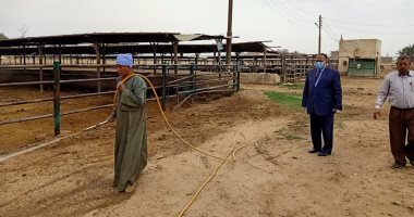 تطهير وتعقيم المنشآت الخدمية والحيوية لتوفير بيئة صحية أمنة بأسيوط ..صور
