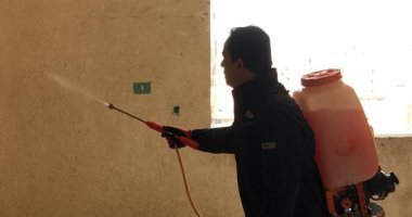 صور.. شباب بالشرقية يعقمون الشوارع والمنازل لمواجهة فيروس كورونا
