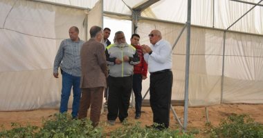 محافظ الوادى الجديد: فتح منفذ لمنتجات الصوب الزراعية بالخارجة لتوفيرها بأسعار مخفضة