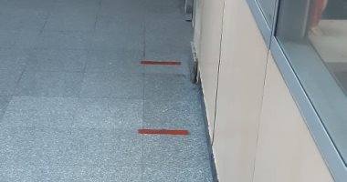 علامات لتحديد المسافة بين كل عميل وآخر بميناء الإسكندرية لمواجهة كورونا.. صور