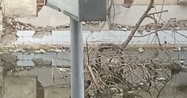 شكوى من انتشار مياه الصرف الصحى بشارع مصدق بالدقى