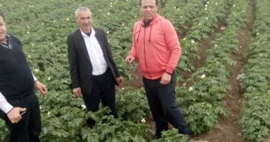 الزراعة تستعد بحزمة إجراءات لمواجهة الأمطار والمناخ المتغير.. اقرا التفاصيل