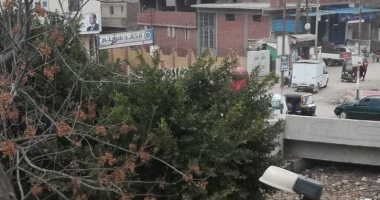قارئة تشكو من انتشار القمامة بقرية بالقشيش شبين القناطر القليوبية