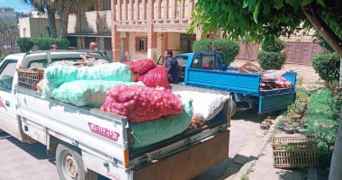 محافظ كفرالشيخ يصدر قرار بتشكيل لجنة بجميع المدن لاتخاذ الإجراءات الاحترازية