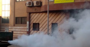 صور.. تكثيف الحملات الوقائية لمنع انتشار الحشرات والباعوض بمراكز البحيرة