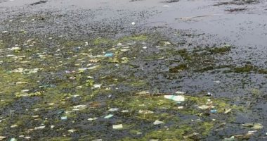 أهالى قرية جزيرة راجح بالأقصر يطالبون بتطهير الترعة