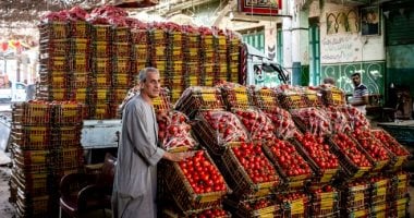 هل لوباء كورونا تأثير سلبى على الأمن الغذائى العالمى؟.. "الفاو" تجيب