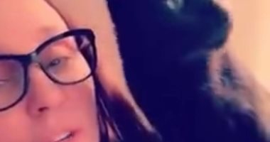"مش بينقلوا كورونا".. فنانون يدشنون حملة لحماية الحيوانات الأليفة