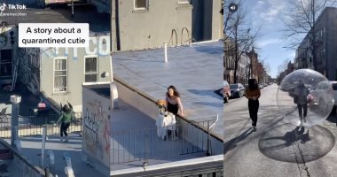 سلملى على الحجج والأعذار.. قصة حب فى العزل المنزلى تنتهي ببوكيه ورد.. فيديو 