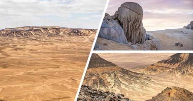 هل استصلاح الأراضي الصحراوية لا يغير طبيعة تملكها؟ فتوى مجلس الدولة تجيب