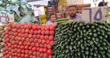 شاهد.. توفر السلع والخضراوات واللحوم بالأسواق والمحلات والشوادر بالأقصر