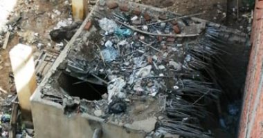 اضبط مخالفة.. خفافيش تطارد أهالى قرية فرسيس فى الغربية "صور"