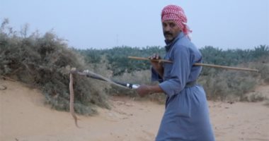 مرعبة الوادى الجديد.. حكاية "صائد" الطريشة القاتلة
