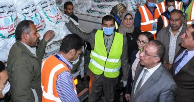 صور.. توزيع المساعدات على منازل العمالة اليومية بالإسكندرية خلال فترات الحظر