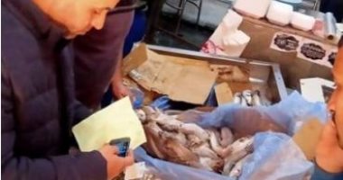 تحرير 216 محضر تموينى خلال حملات تفتيشية لضبط الأسعار فى المنوفية