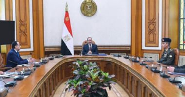 السيسى يتابع مع مدبولى ووزراء ورئيس المخابرات جهود مكافحة كورونا    