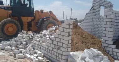 حملة مكبرة لإزالة التعديات على أراضى الدولة ببرج العرب غرب الإسكندرية.. صور