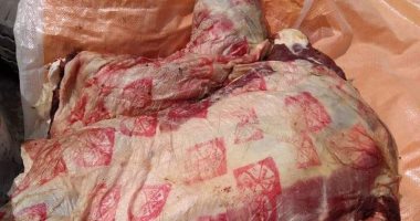 صور.. ضبط لحوم غير صالحة للإستخدام واختام مزورة فى حملة للطب البيطرى فى الغربية 