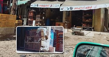جريمة فى حق المواطنين.. ذبح الطيور فى شوارع الشرقية يساعد على انتشار الأمراض.. والأهالى: تنقل الفيروسات ونطالب بمكافحة الذبح العشوائى ونقل المحلات خارج المدن.. والطب البيطرى: لجان دورية لتصحيح الأوضاع.. صور