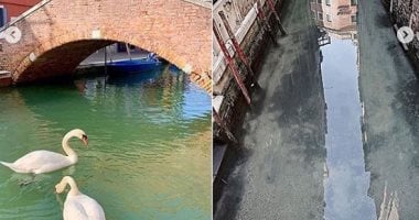 ليست جميعها سيئة.. أثار إيجابية لفيروس كورونا على البيئة