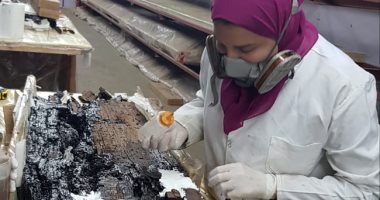 ما الذى يحدث فى مركب خوفو الثانية فى زمن الكورونا؟ الإجابة بالصور
